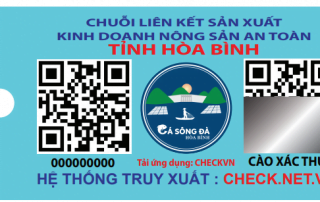 mẫu tem truy xuất cá sông đà