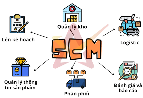 SCM-banner-header