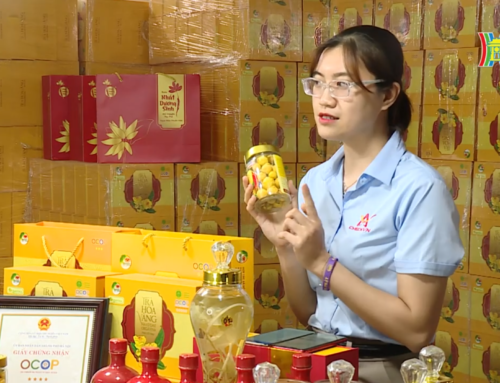 Doanh nghiệp nữ Thủ đô với Nền tảng “phunuhanoi.vn”