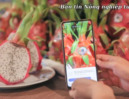 Hơn 18.000 sản phẩm đã tham gia hệ thống truy xuất nguồn gốc nông sản